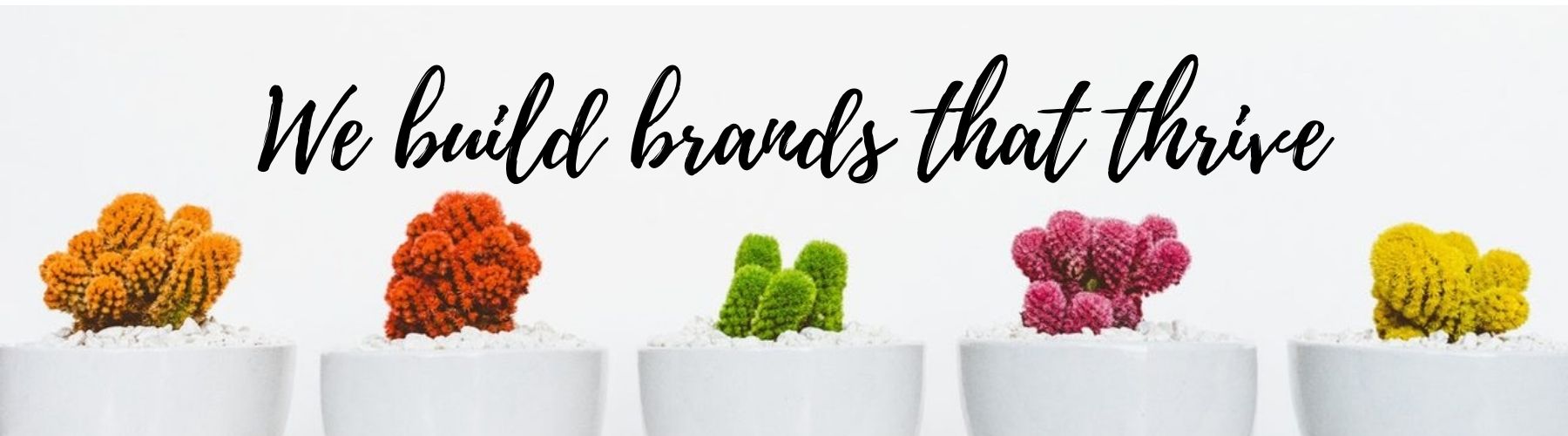 We build brands that thrive